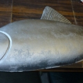 Alum-Fish-Casting